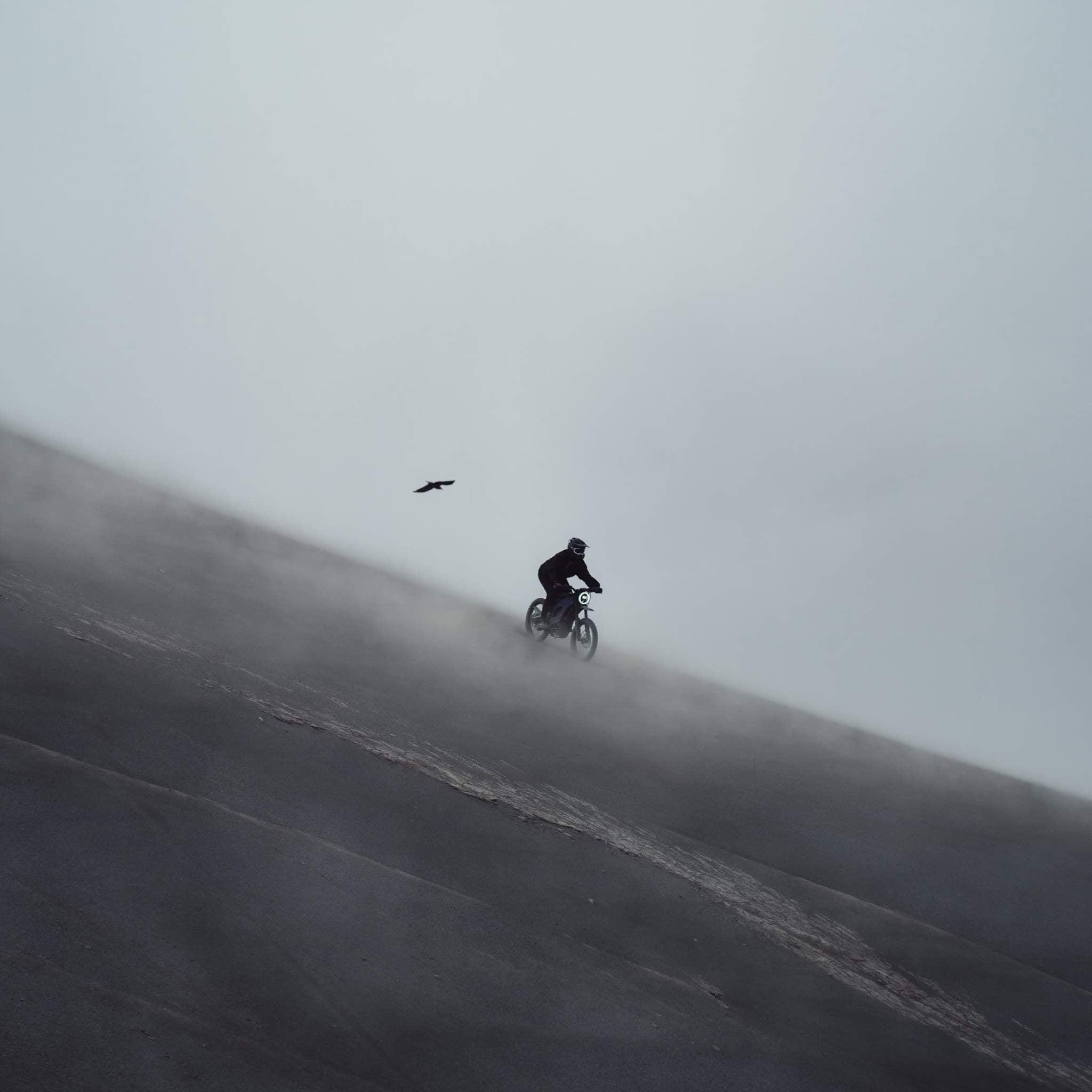 Eine Person fährt mit einem NIU XQi3 Enduro Dirtbike Cross Motorrad 45 km/h von NIU einen steilen, nebligen Abhang hinunter, während ein Vogel über sie hinwegfliegt. Die Szene ist minimalistisch und stimmungsvoll mit Nebel und gedämpften Farben.