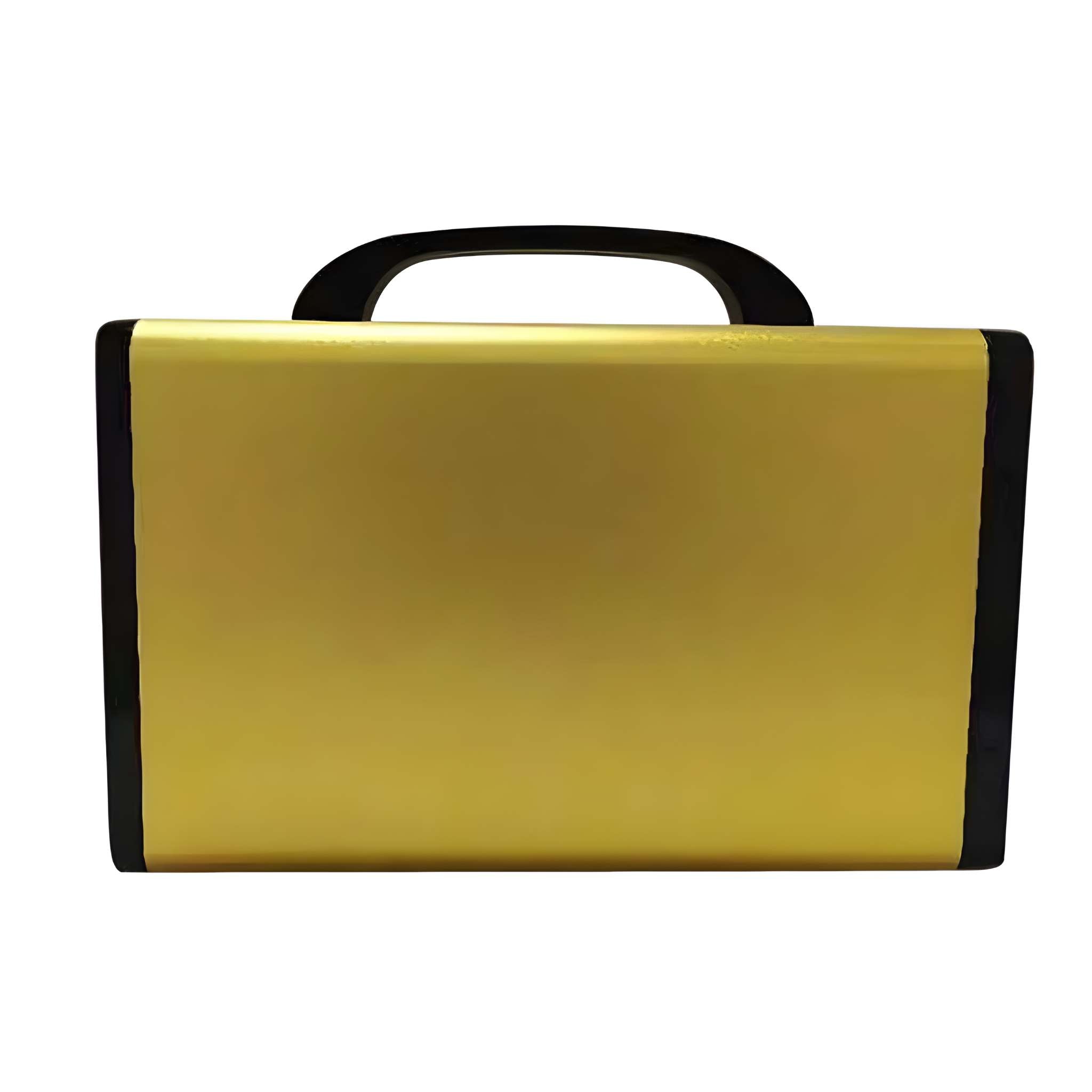 Eine goldfarbene Aktentasche mit schwarzen Rändern und Griff auf weißem Hintergrund - ideal für den stilvollen Transport Ihres Mangosteen E-Chopper- oder E-Scooter M1PS 4000W-Zubehörs.