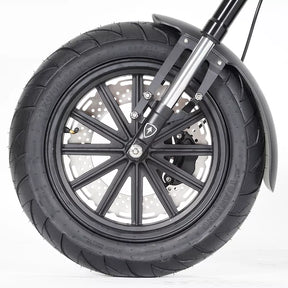 Nahaufnahme eines schwarzen Mangosteen M1P Citycoco E-Chopper MODELL 26 Vorderrads mit Scheibenbremsen, sichtbaren Reifenprofilen und einem schwarzen Metallkotflügel vor weißem Hintergrund.