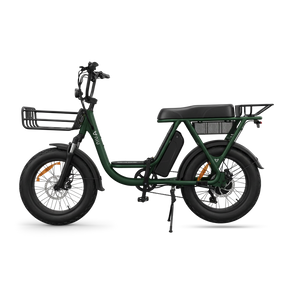 Das NIU BQi Utility 200 ist ein umweltfreundliches E-Lastenrad mit Tretunterstützung, das über einen Frontkorb, einen hinteren Gepäckträger, einen schwarzen Sattel, robuste Fat-Reifen und einen aufrechten Lenker verfügt. In der Seitenansicht vor weißem Hintergrund wird zudem der herausnehmbare Akku für bequemes Aufladen hervorgehoben. Dieses Modell von NIU bietet eine beeindruckende Reichweite von bis zu 95 km.